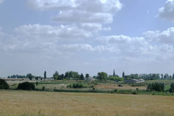 Bauernhof Menschen Die Auf Dem Feld Arbeiten Produkt Auf Lkw — Stockfoto