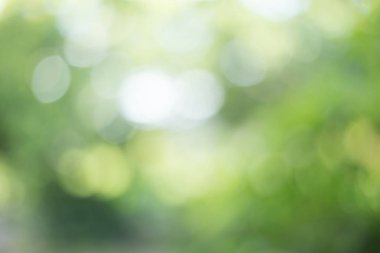 soyut dairesel yeşil bokeh arkaplanı