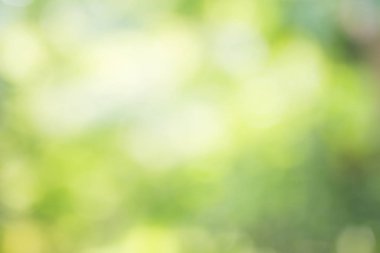 arka planı için yeşil renk bulanıklık