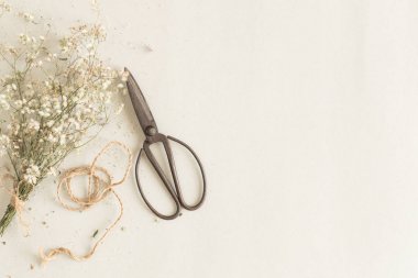 Kağıt arka plan için eski makaslar ile düz yatıyordu görüntü