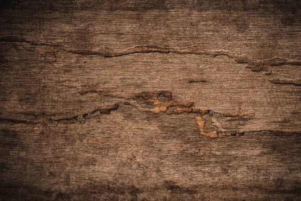 Descomposición de madera con termitas de madera, viejo grunge fondo de madera de textura oscura — Foto de Stock