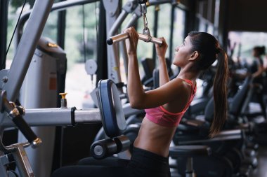 Yan görüş. Spor salonunda halterle egzersiz yapan Asyalı genç kadınlar.