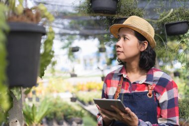 Asyalı kadın Süs bitki dükkanında bitki kontrol etmek için bir tablet kullanıyor