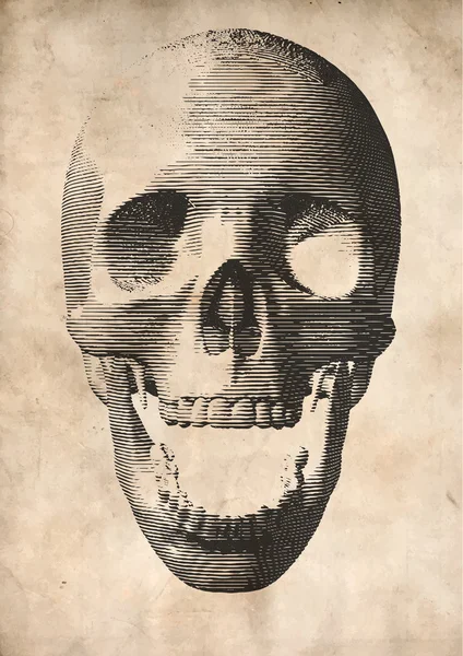 古い紙の背景にベクトル頭蓋骨を彫刻 — ストックベクタ