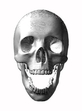 Beyaz arka plan üzerinde izole kafatası oyma