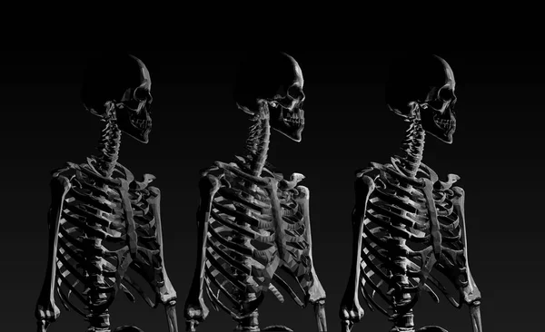Lage poly skelet portret zijaanzicht in lage belangrijke verlichting — Stockvector