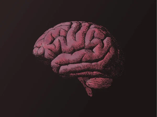 Gravyr rosa orange hjärnan på mörka Bg — Stock vektor