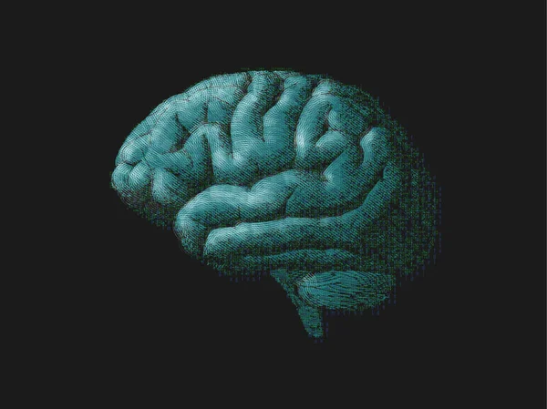 Grabado cerebro verde se combinan con texto digital en BG oscuro — Vector de stock