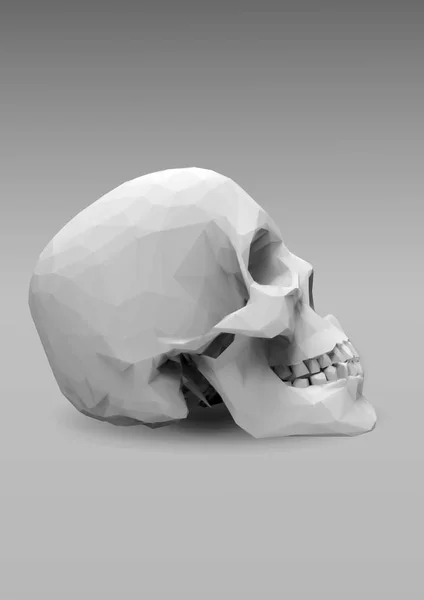 Cráneo de vector de poli bajo en aspecto realista 3d — Vector de stock