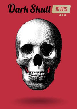 Siyah ve beyaz gravür kafatasında kırmızı Bg