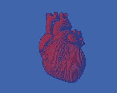 Oyma kalp illüstrasyon izole mavi Bg