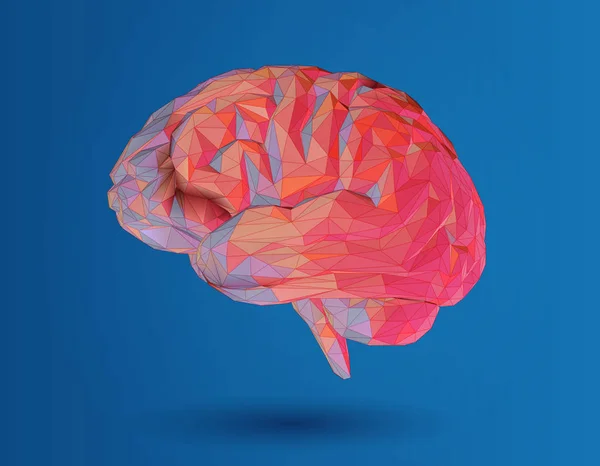 Düşük Poli 3d beyin illüstrasyon mavi zemin üzerine