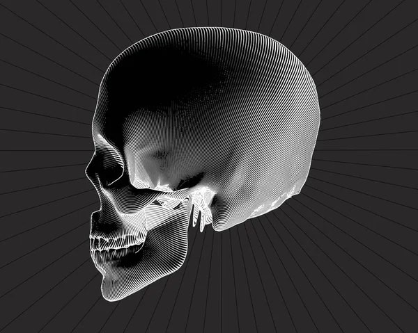 Cráneo de vista lateral grabado en gris BG — Archivo Imágenes Vectoriales