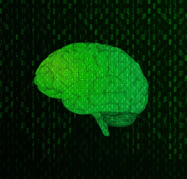 Zelená drátový model mozku s binární číslice textem Bg — Stockový vektor