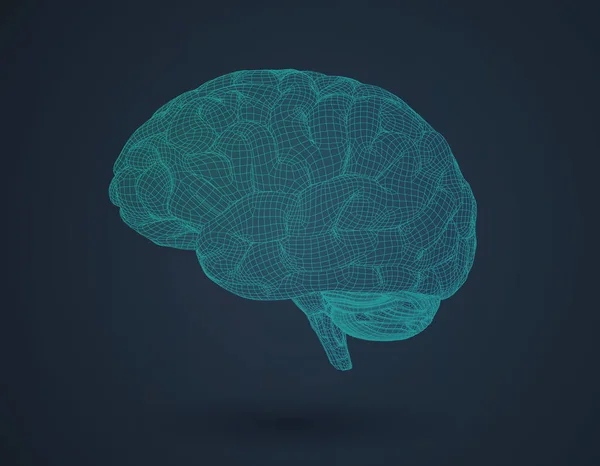 3D wireframe cerebro en vista lateral en BG oscuro — Vector de stock
