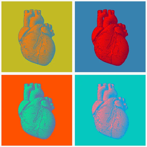 Gravure van menselijk hart illustratie in diverse pop-art stijl — Stockvector