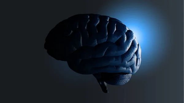 Zijaanzicht van de veelhoekige hersenen in donkere Bg — Stockvector