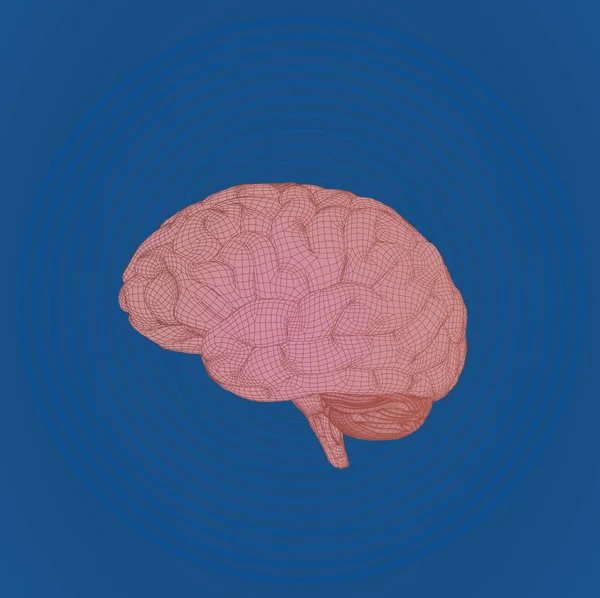 青いリップル波 Bg にワイヤ フレーム脳 — ストックベクタ