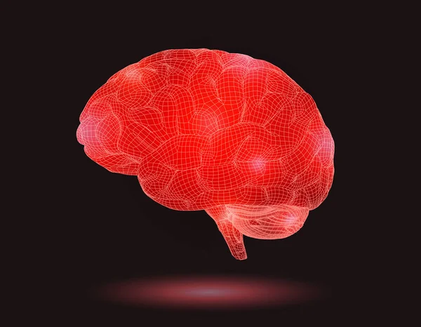 Ilustración cerebral de marco de alambre rojo en BG oscuro — Vector de stock