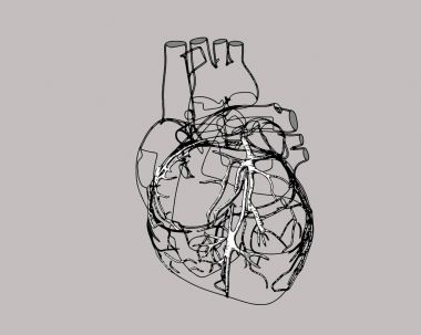 Stilize vektör insan kalbi kalem çizim şekil