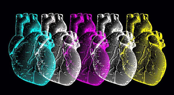 Engraving human heart illustration set isolated on black BG — Stock Vector