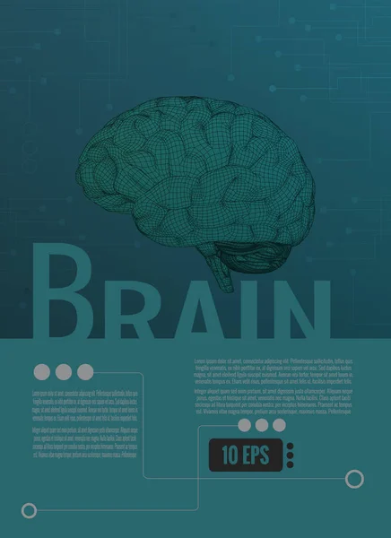 3D wireframe ilustração do cérebro no layout gráfico verde — Vetor de Stock
