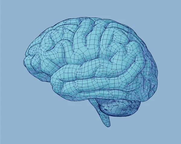 Mavi beyin tel kafes çizim ile çizim
