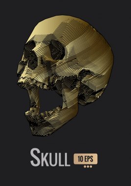 Altın şerit kafatası illüstrasyon koyu Bg tarihinde