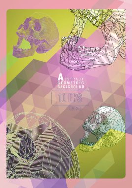 Renkli poligonal kafatası grafik Bg