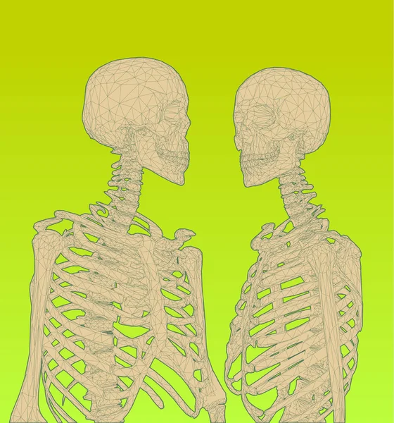 夫妇低聚骨架插图 — 图库矢量图片
