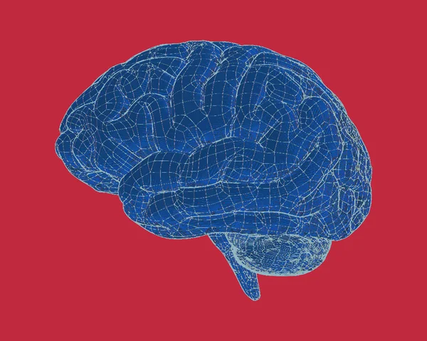 Biru menggambar otak dengan gambar wireframe ilustrasi - Stok Vektor