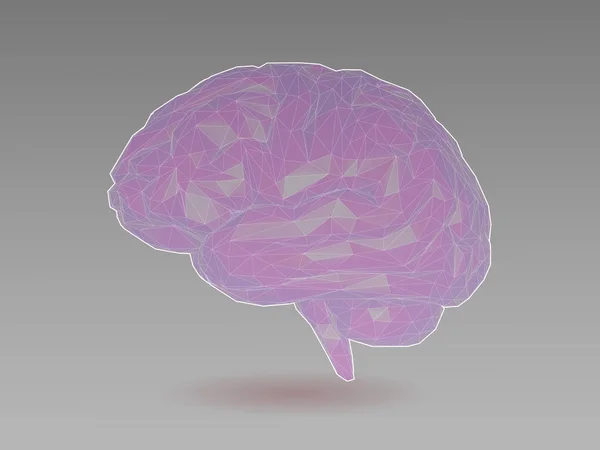 Låg poly transparent hjärnan illustration — Stock vektor