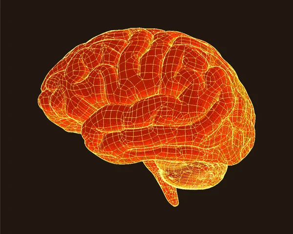 Orange hjärnan illustraion isolerad på svart Bg — Stock vektor