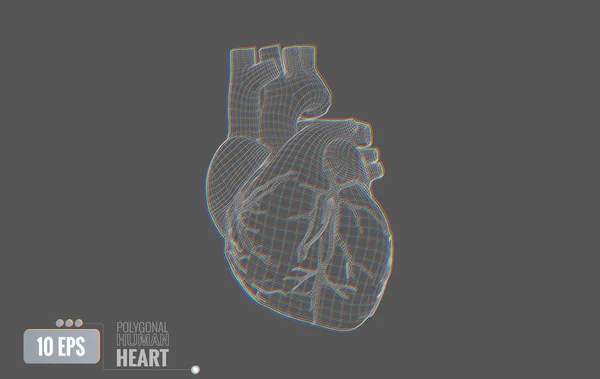 Wireframe brilho do coração humano em cinza BG — Vetor de Stock