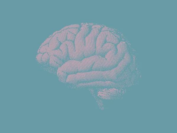 Απαλό ροζέ χρώμα εγκεφάλου αντλώντας από πράσινο Bg — Διανυσματικό Αρχείο