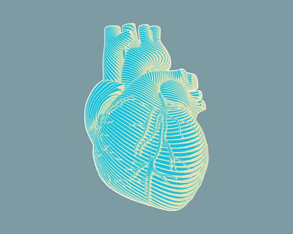 Grabado corazón estilizado dibujo en gris BG — Vector de stock