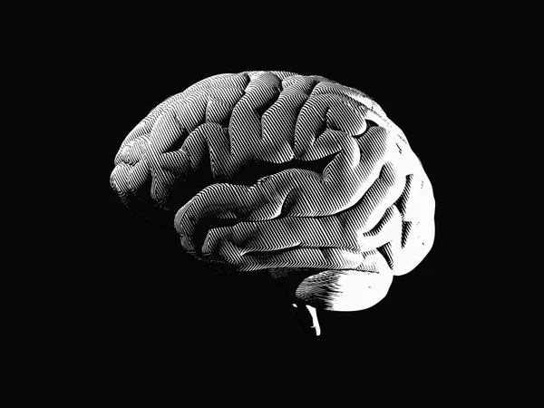 Μονόχρωμη με σχέδιο εγκεφάλου στο σκοτάδι — Διανυσματικό Αρχείο
