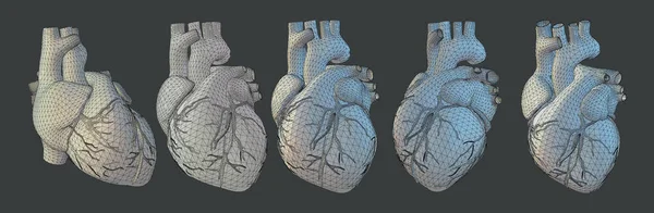 3D human heart illustration in various view — Stock Vector