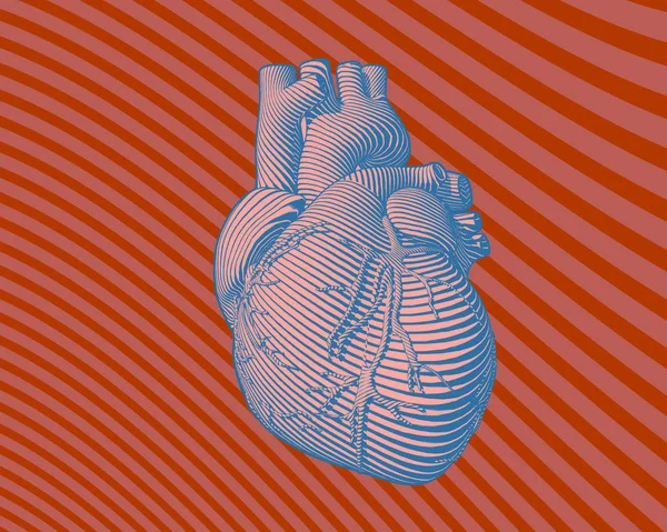 Grabado Corazón Humano Con Trazo Arte Línea Flujo Azul Sobre — Vector de stock