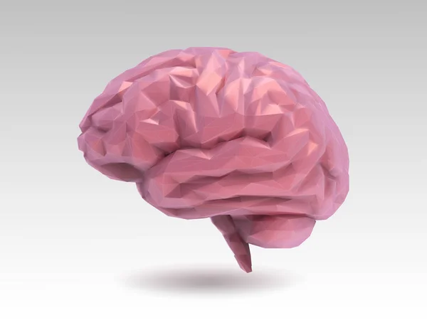 低聚光泽粉红色的大脑与3D 阴影插图隔离在白色背景上 — 图库矢量图片