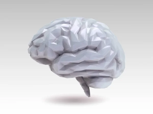 Cerebro Gris Brillante Polietileno Bajo Con Ilustración Sombreado Aislado Sobre — Vector de stock
