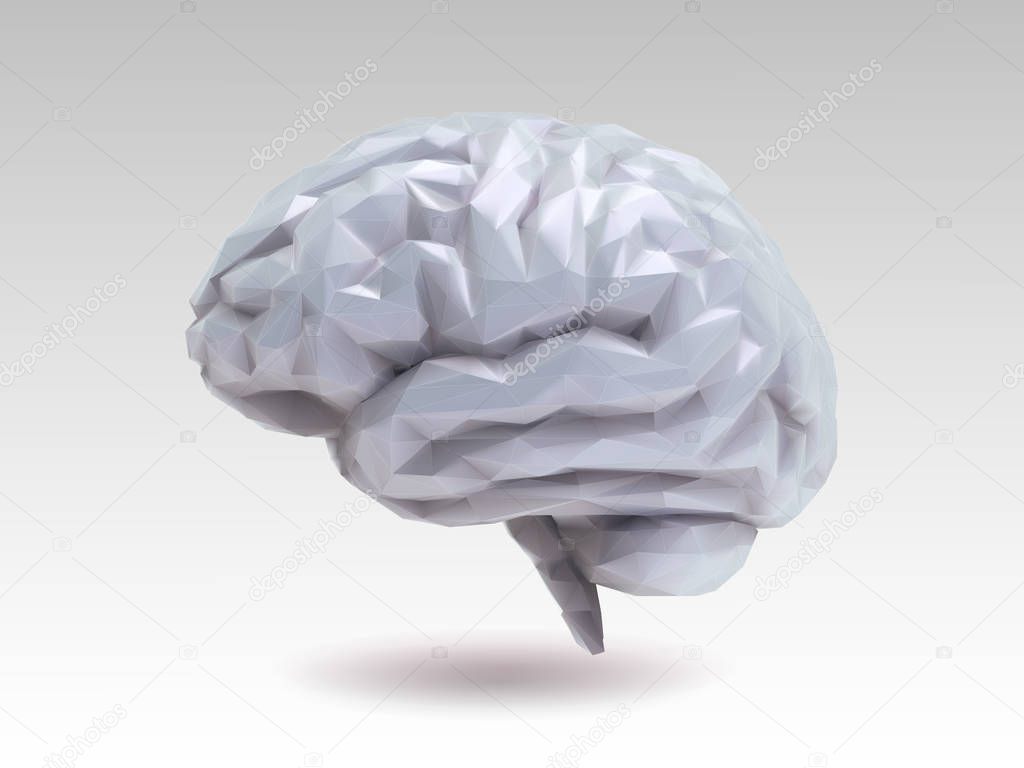 Low poly glossy gray brain with 3D shading illustration isolated on white background