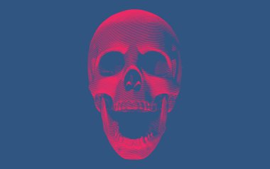 Kurukafa çığlığı, koyu Bg 'de izole edilmiş bir poz.