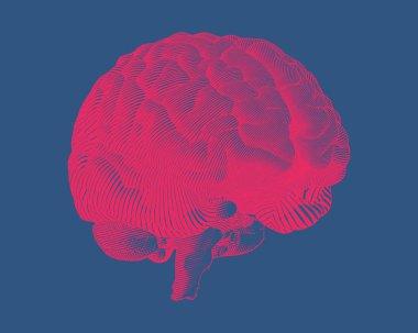 Mavi Bg 'ye kırmızı oymalı beyin çizimi