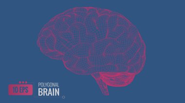 Mavi Bg üzerinde 3D çokgen kablo beyni