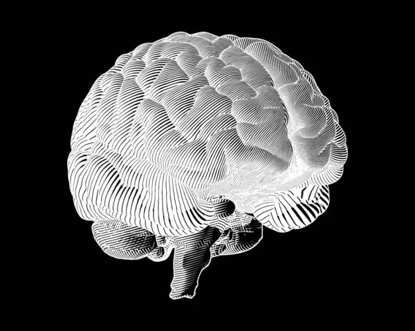 Отрицательная гравировка мозга на темной гравюре — стоковый вектор