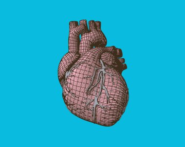 Açık turkuaz yeşil BG 'ye izole edilmiş pembe stilize insan kalbi.