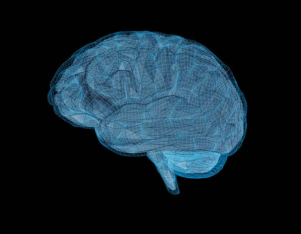 Baixo Poli Cérebro Com Barreira Wireframe Ilustração Sobre Fundo Preto — Vetor de Stock