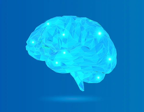Baixo Poli Ilustração Cérebro Com Material Cristal Sobre Fundo Azul —  Vetores de Stock