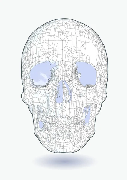 白色背景下孤立的带多边形边缘的花纹颅骨 — 图库矢量图片